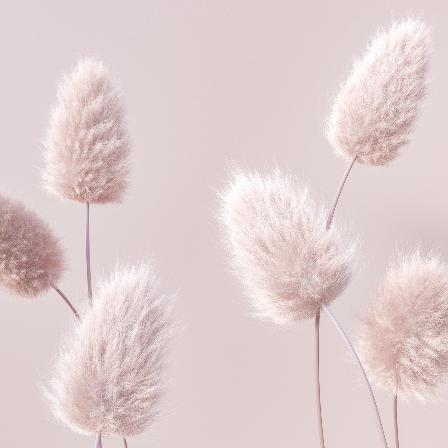 Floral Fluffy Boho Pastel Beige Color Background, Beautiful Bota